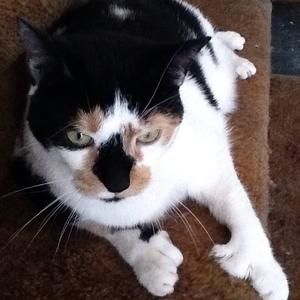 Meet your Posher, Judy